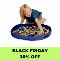 NEW Brick Bag Mini Pouch